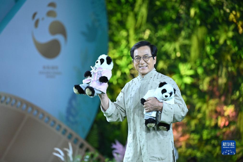 大红鹰论坛在线统计器